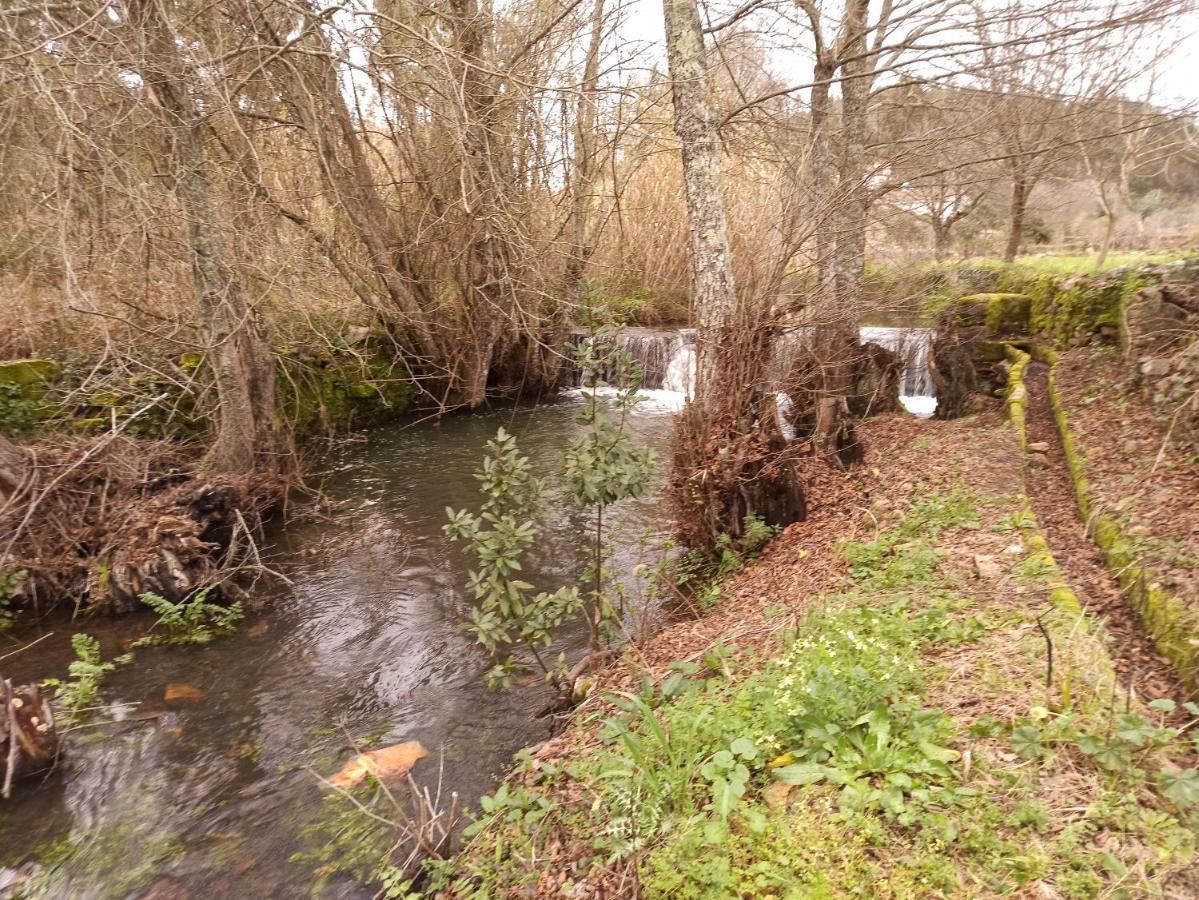 Porto D'Abrigo - Alojamento Local Sardoal Dış mekan fotoğraf